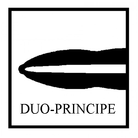 Schematische voorstelling duo-principe